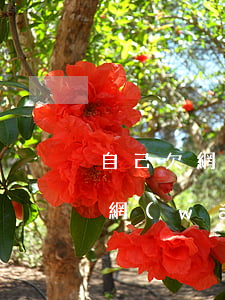 自己欠網(wǎng)貸老公不原諒(老公借網(wǎng)貸能原諒嗎)