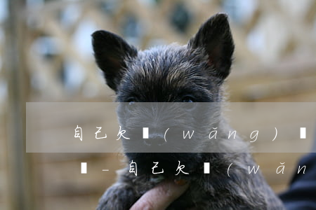 自己欠網(wǎng)貸老婆能辦理信用卡嗎-自己欠網(wǎng)貸老婆能辦理信用卡嗎知乎