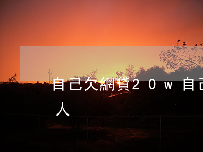 自己欠網貸20w(自己欠網貸但是共同還款人)