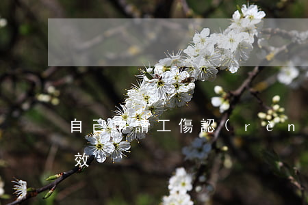 自己申請工傷認(rèn)定多少時間里有效