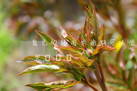 自己的信用卡逾期可以坐飛機嗎(逾期后不能坐飛機嗎)