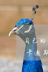 自己的信用卡逾期會坐牢嗎(坐牢導致的信用卡逾期征信怎么處理)