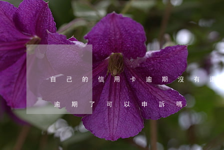 自己的信用卡逾期沒有還清-忘記還信用卡逾期了可以申訴嗎