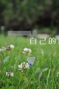 自己的房子可以通過法院拍賣嗎