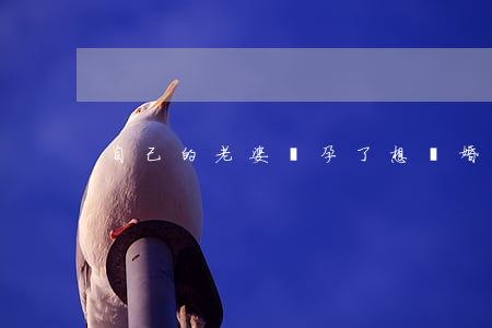 自己的老婆懷孕了想離婚怎么辦