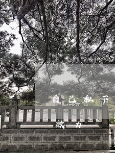 自己私下寫的離婚協(xié)議書有法律效力嗎(離婚協(xié)議書雙方私下寫有用嗎)