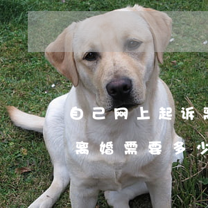 自己网上起诉离婚需要多少钱(自己可以起诉离婚需要多少钱)