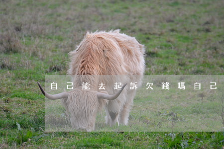 自己能去起訴欠錢嗎(自己能去起訴欠錢嗎)