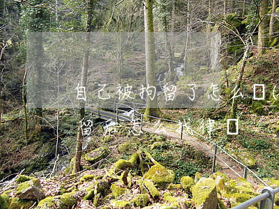 自己被拘留了怎么聯(lián)系律師(拘留后怎么找律師)