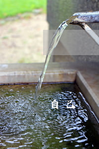自己訴訟程序怎么走(怎樣走司法程序起訴)
