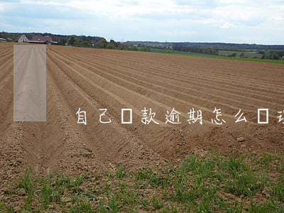 自己貸款逾期怎么辦理信用卡