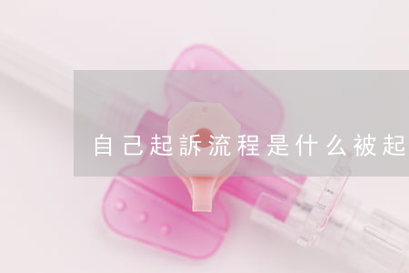 自己起訴流程是什么(被起訴是什么流程)