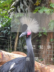 自己起訴開(kāi)發(fā)商逾期交房(開(kāi)發(fā)商逾期交房,起訴后,能接得到房嗎)