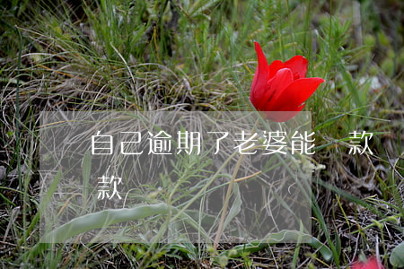 自己逾期了老婆能貸款嗎(老公逾期老婆能貸款嗎)