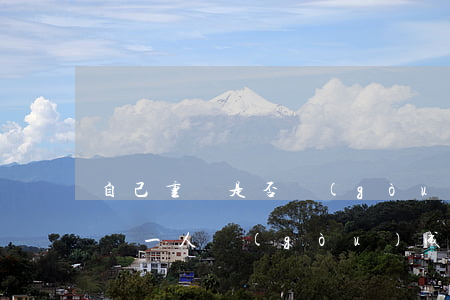 自己重傷是否構(gòu)成交通肇事罪(重傷一人構(gòu)成交通肇事罪嗎)