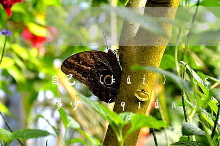 自己開(kāi)車(chē)肇事死亡賠多少錢(qián)(開(kāi)車(chē)致人死亡最多能賠付多少錢(qián))