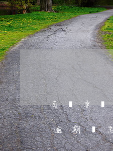 自從京東白條逾期后貸款秒拒(京東白條借款逾期還怎么樣)