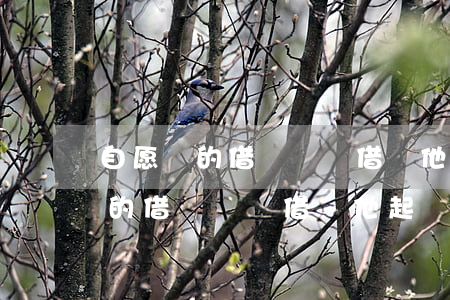 自愿寫的借條卻沒借錢他起訴我了-自愿寫的借條卻沒借錢他起訴我了怎么辦