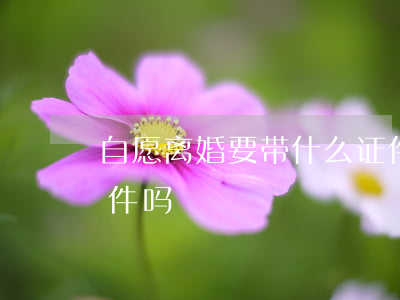 自愿离婚要带什么证件(自愿离婚要带什么证件吗)