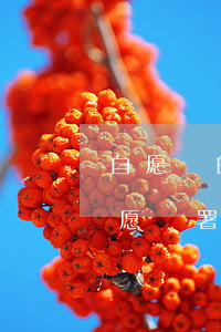 自愿簽的不平等協(xié)議能作廢嗎(自愿簽署的合同不公平怎么辦)