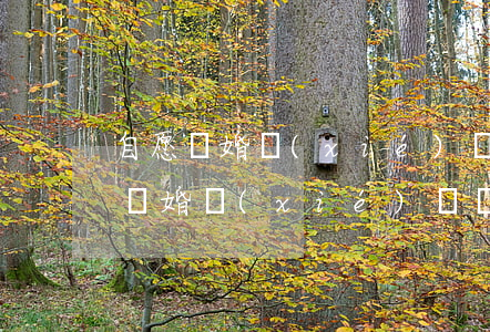 自愿離婚協(xié)議書(shū)(自愿離婚協(xié)議書(shū)簡(jiǎn)潔版)