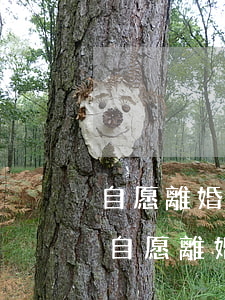 自愿離婚可以不寫離婚協(xié)議書嗎(自愿離婚要寫協(xié)議書嗎)