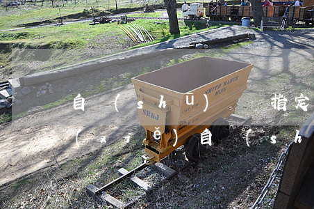 自書(shū)遺囑指定唯一繼承人怎么寫(xiě)(自書(shū)遺囑指定唯一繼承人怎么寫(xiě))