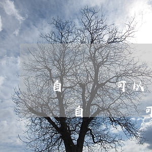 自書遺囑可以辦理繼承權(quán)公證嗎(自書遺囑可以辦理繼承權(quán)公證嗎)
