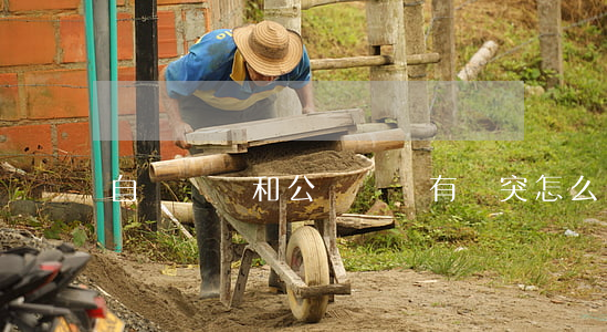 自書遺囑和公證遺囑有沖突怎么辦