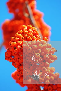 自書遺囑怎么寫法律才有效(自書遺囑的有效范文)