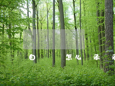自書遺囑怎么繼承(繼承法自書遺囑)