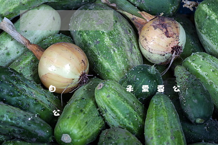 自書遺囑繼承需要公證嗎(遺囑公證書和繼承公證書)