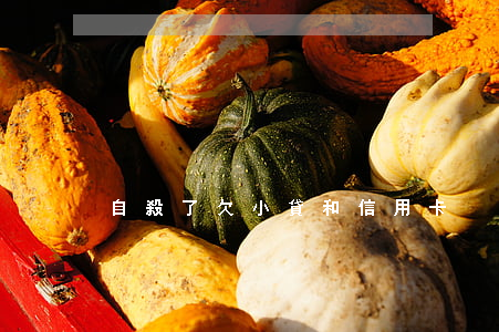 自殺了欠小貸和信用卡