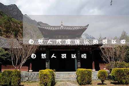 自然人代理诉讼的可以收费吗(委托代理诉讼 自然人可以吗)