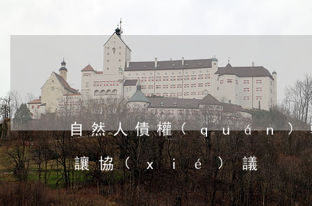 自然人債權(quán)轉(zhuǎn)讓協(xié)議