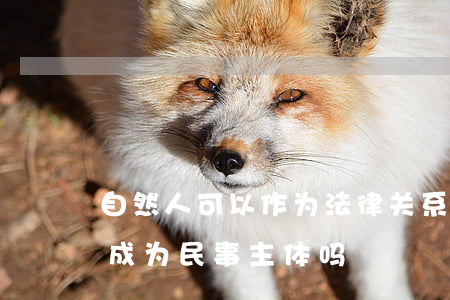 自然人可以作为法律关系主体吗(自然人可以成为民事主体吗)