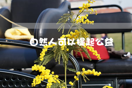 自然人可以提起公益訴訟嗎(行政公益起訴人)