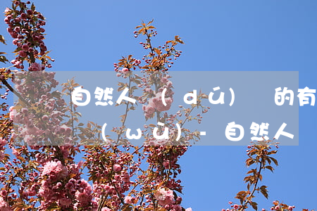 自然人獨(dú)資的有限公司無力償還債務(wù)-自然人獨(dú)資有限公司無力償還債務(wù)怎么辦