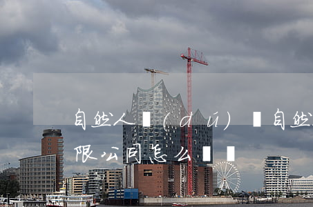 自然人獨(dú)資(自然人獨(dú)資有限公司怎么納稅)