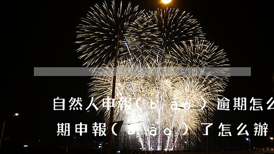 自然人申報(bào)逾期怎么辦(自然人逾期申報(bào)了怎么辦)