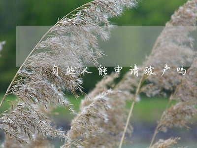 自然人能申请破产吗