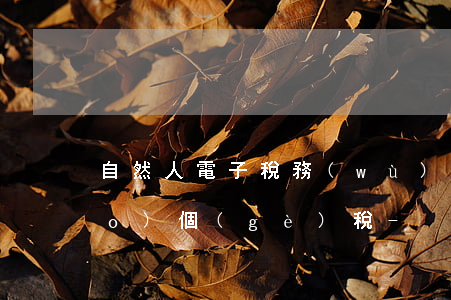自然人電子稅務(wù)局逾期申報(bào)個(gè)稅-