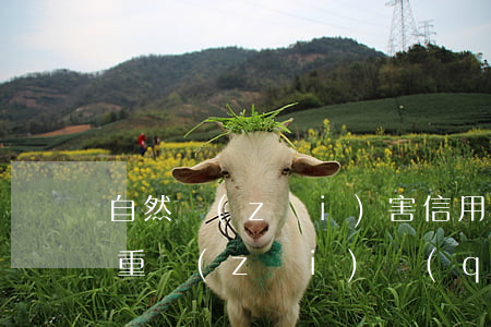 自然災(zāi)害信用卡逾期怎么辦(疫情重災(zāi)區(qū)信用卡逾期)