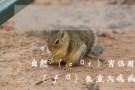 自然災(zāi)害信用卡逾期無能力償還(發(fā)生重大疾病無力償還信用卡)
