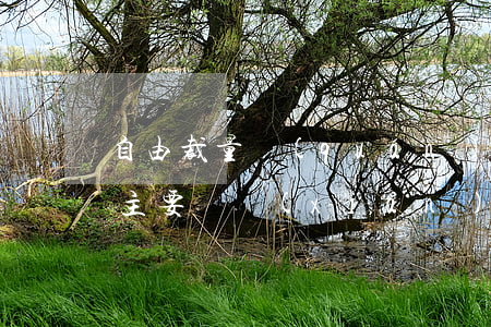 自由裁量權(quán)在海事行政處罰中主要體現(xiàn)在哪些方面