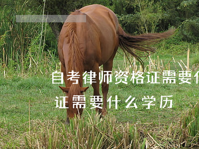 自考律师资格证需要什么学历(自考教师资格证需要什么学历)