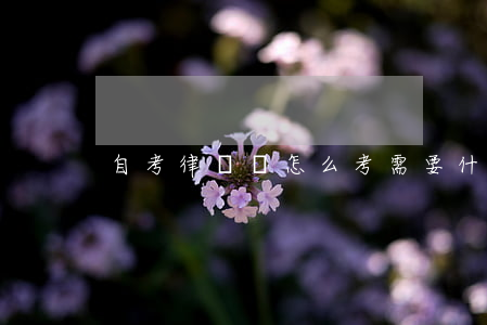自考律師證怎么考需要什么條件