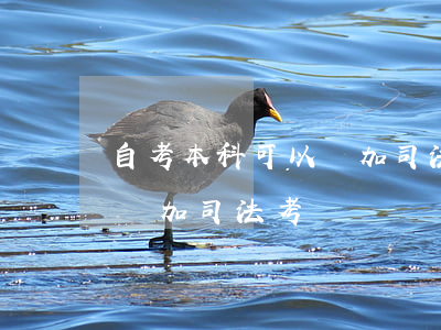 自考本科可以參加司法考試嗎(自考本科可以參加司法考試嗎?)