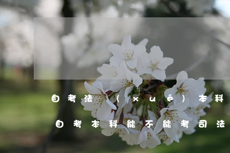 自考法學(xué)本科可以考司法考試嗎(自考本科能不能考司法考試)