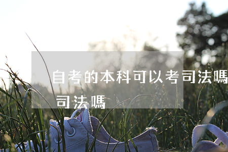 自考的本科可以考司法嗎(自考的本科可以考司法嗎)